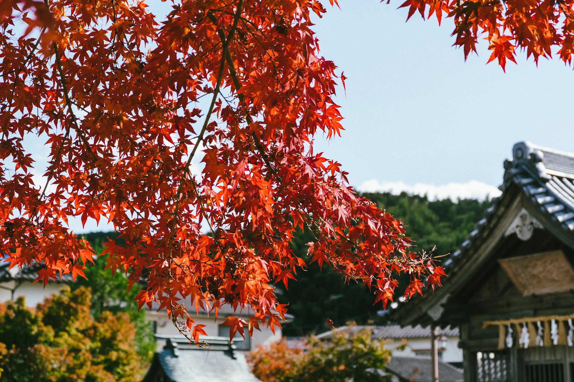 Northern Kyushu Rail Pass 